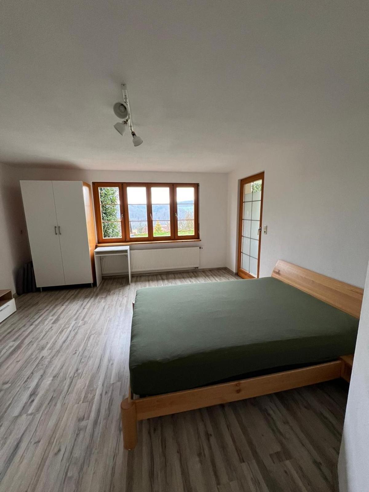 Kleine Ferienwohnung - Naehe Schweizergrenze Hohentengen am Hochrhein Eksteriør bilde